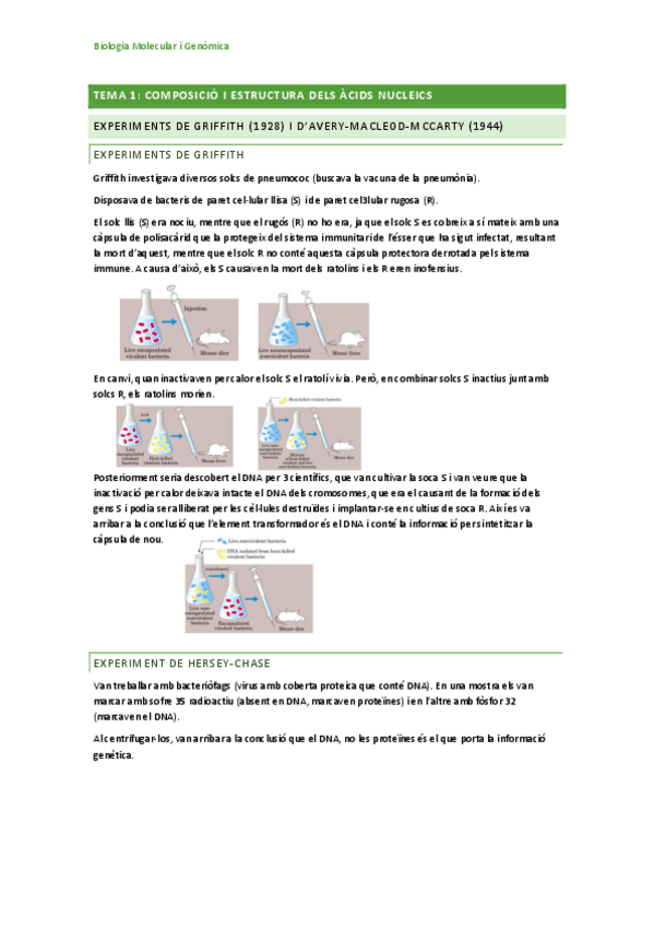Miniatura del documento BioMol-Primer-parcial.pdf