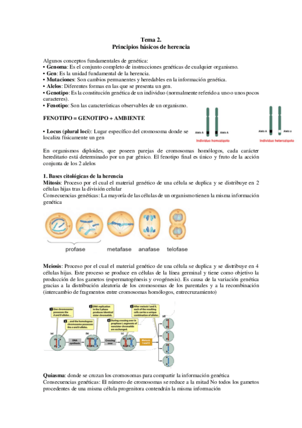 Miniatura del documento TEMA-2.pdf