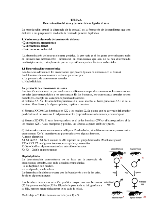 Miniatura del documento TEMA-3.pdf