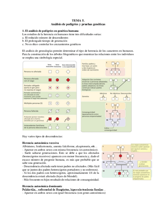 Miniatura del documento TEMA-5.pdf