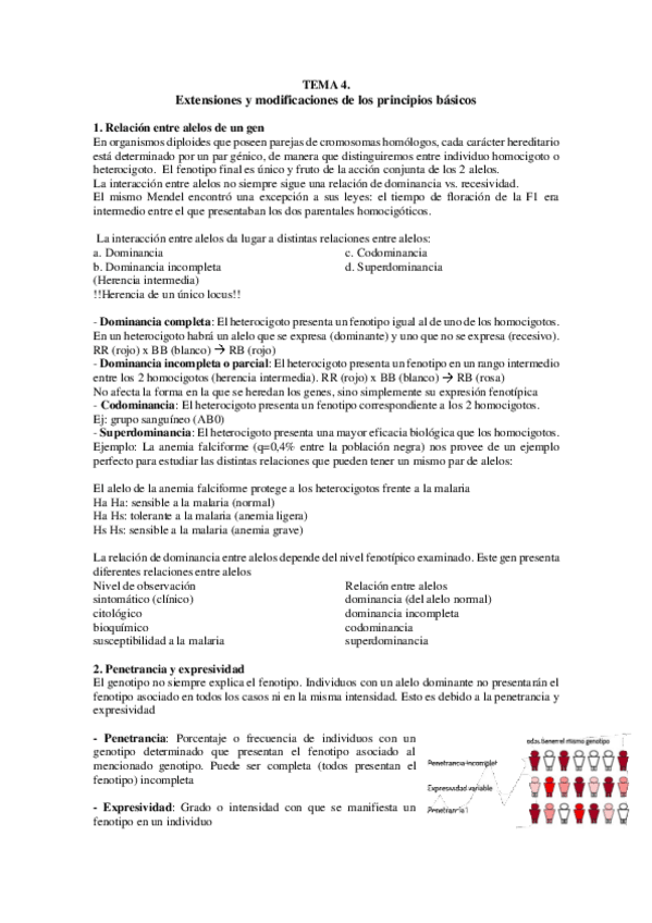 Miniatura del documento TEMA-4.pdf