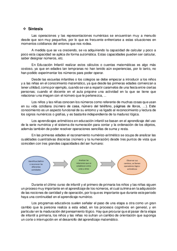 Miniatura del documento Informe-ambito-numerico-aritmetico.pdf