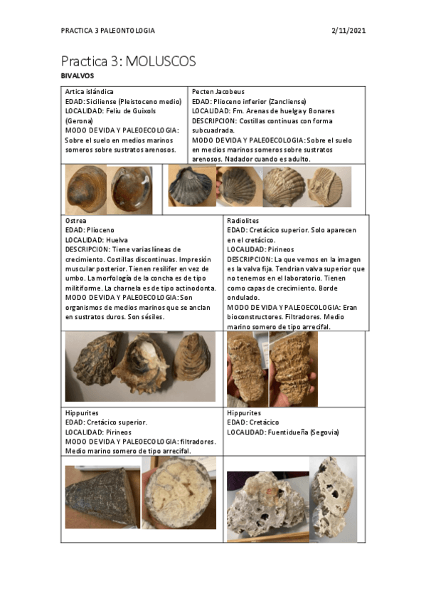 Miniatura del documento PRACTICA-3.pdf