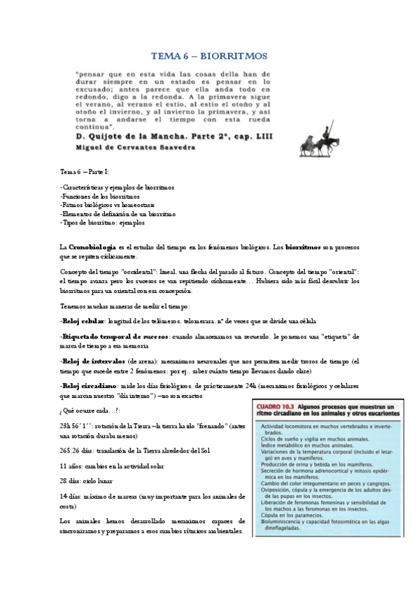 Miniatura del documento T6-FA.pdf