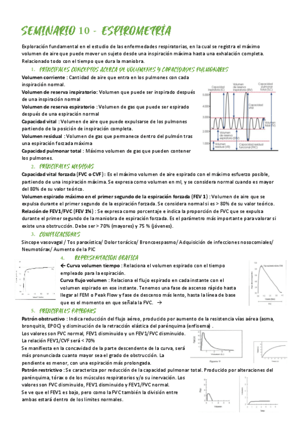 Miniatura del documento SEMINARIO-10-ESPIROMETRIA.pdf