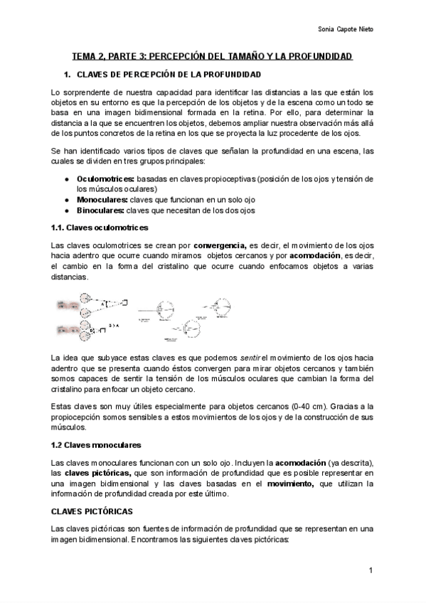 Miniatura del documento TEMA-2-P3-PERCEPCION-DEL-TAMANO-Y-LA-PROFUNDIDAD.pdf