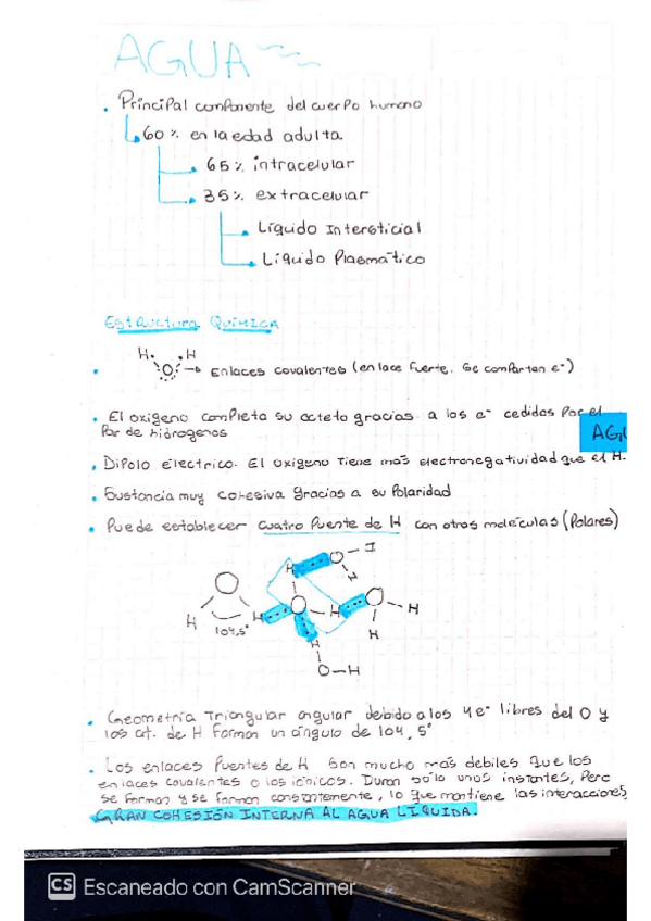 Miniatura del documento ACIDOS-NUCLEICOS.pdf