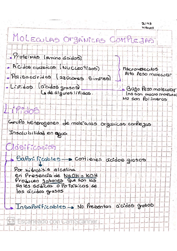 Miniatura del documento MEMBRANAS.pdf