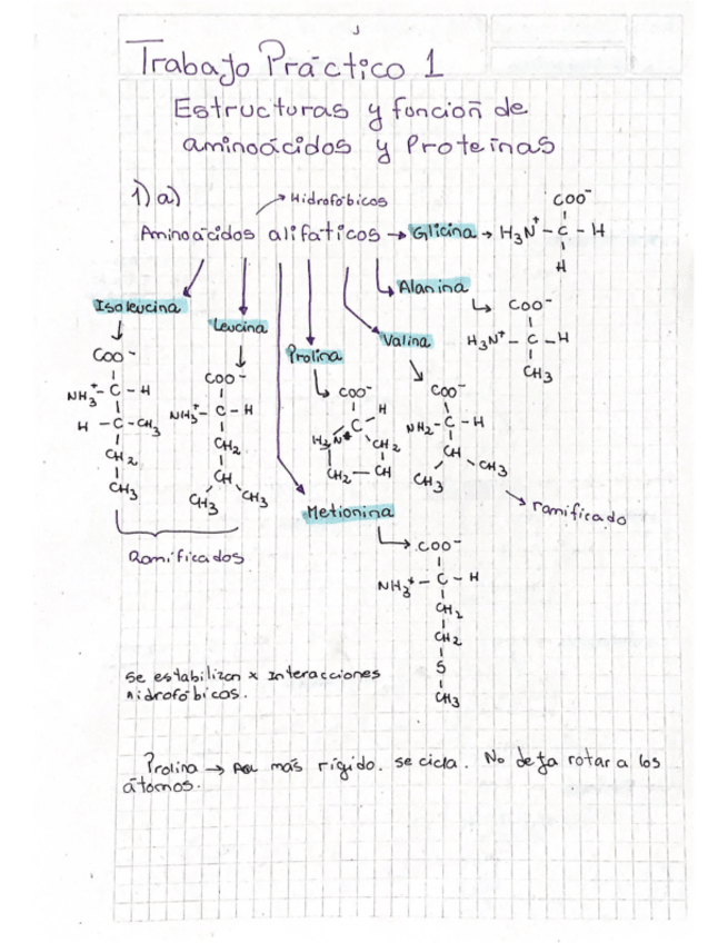 Miniatura del documento Trabajo-practico-1.pdf
