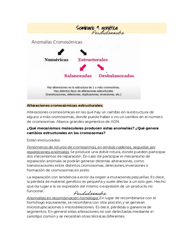 Miniatura del documento Sintesis-conceptual-9.pdf