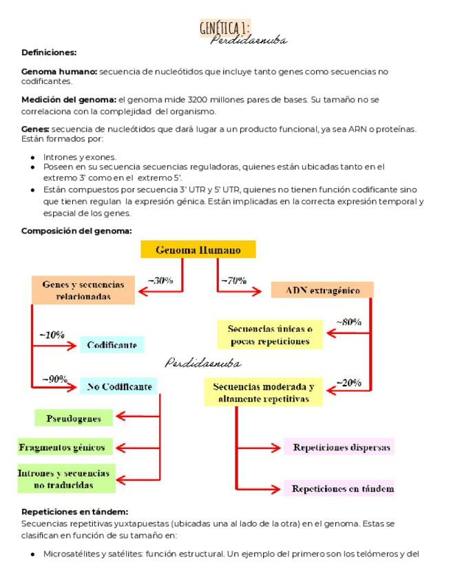 Miniatura del documento Sintesis-conceptual-1-2.pdf