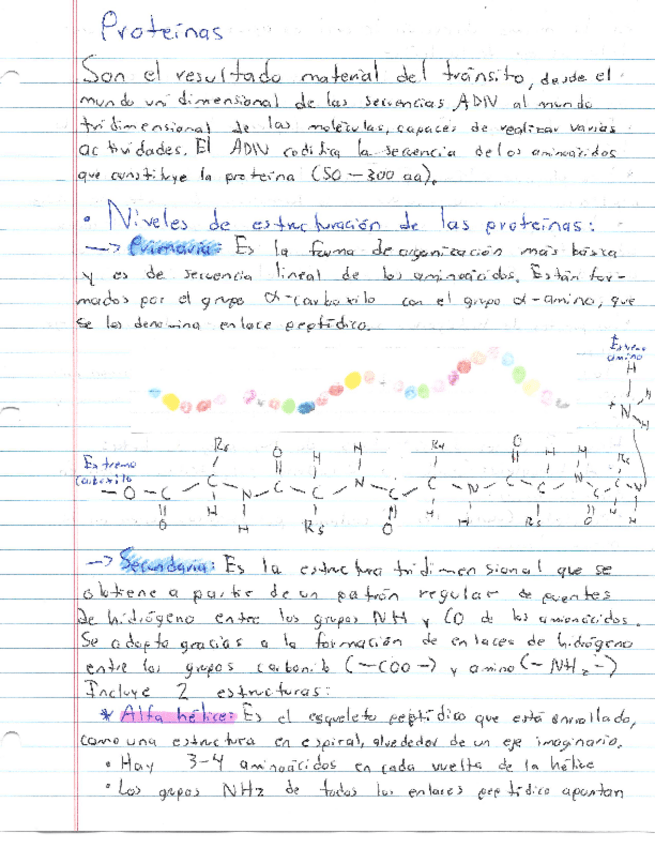 Miniatura del documento Resumen-Proteinas.pdf