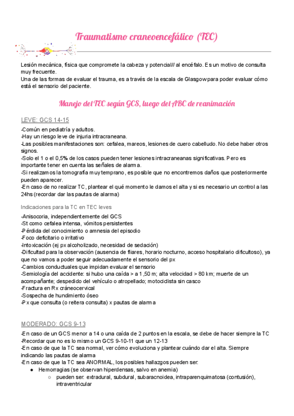 Miniatura del documento Traumatismo-craneoencefalico-Resumen.pdf