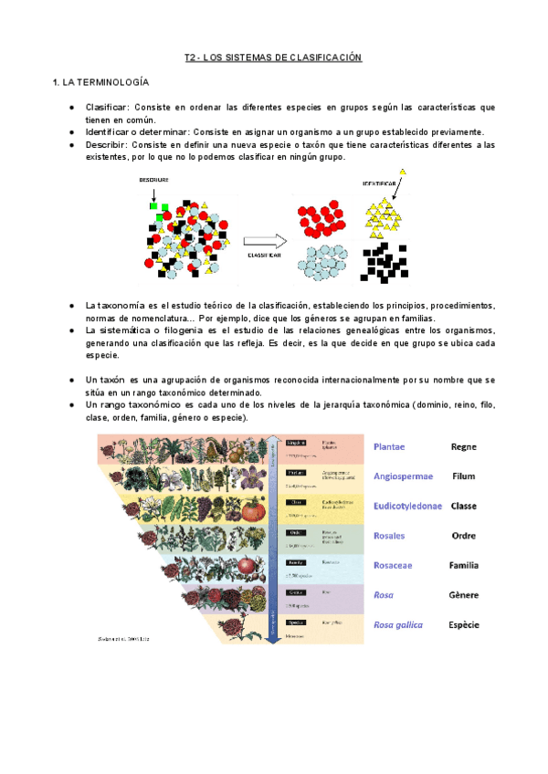 Miniatura del documento T2-BV-Los-Sistemas-de-Clasificacion.pdf