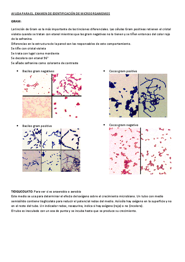 Miniatura del documento Ayuda-examen-identificacion-mo.pdf