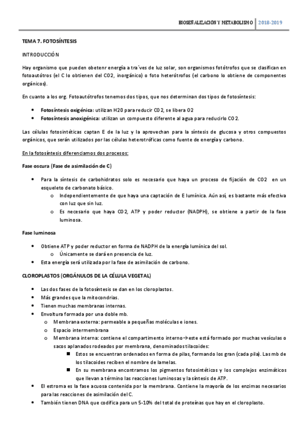 Miniatura del documento TEMA-7-BSM-FOTOSINTESIS-TERMINADO.pdf
