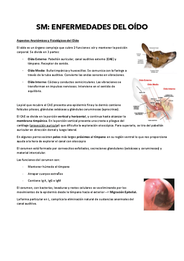 Miniatura del documento SEMINARIOS-CAC-I.pdf