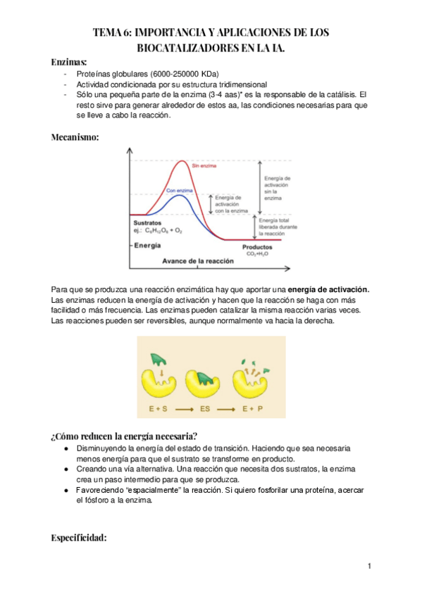 Miniatura del documento TEMA-6-IMPORTANCIA-Y-APLICACIONES-DE-LOS-BIOCATALIZADORES-EN-LA-IA.pdf