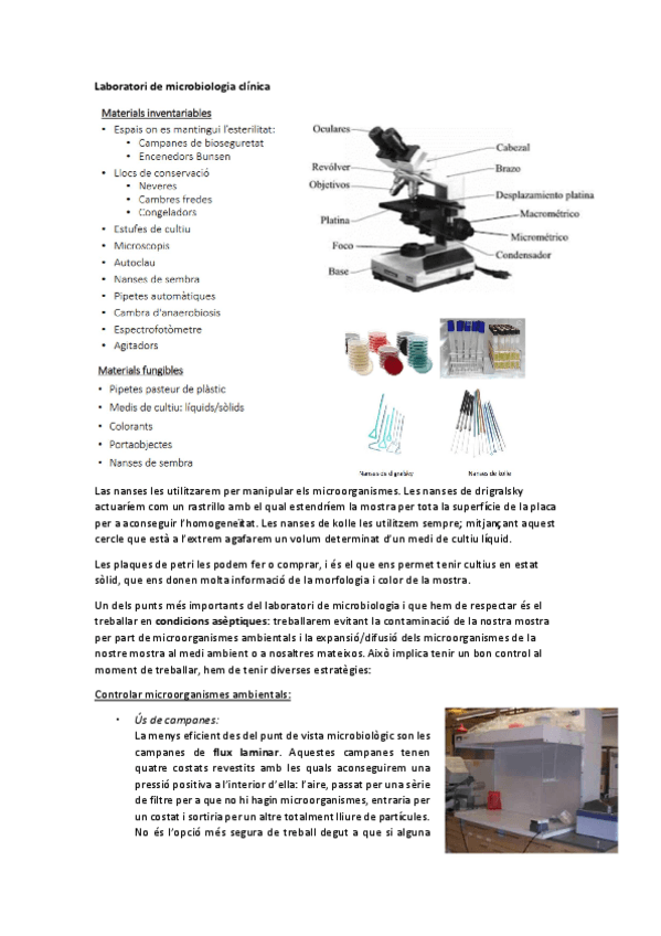 Miniatura del documento Resumen-todas-practicas-microbiologia.pdf