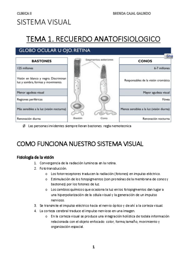 Miniatura del documento CLINICA-II-VISTA.pdf