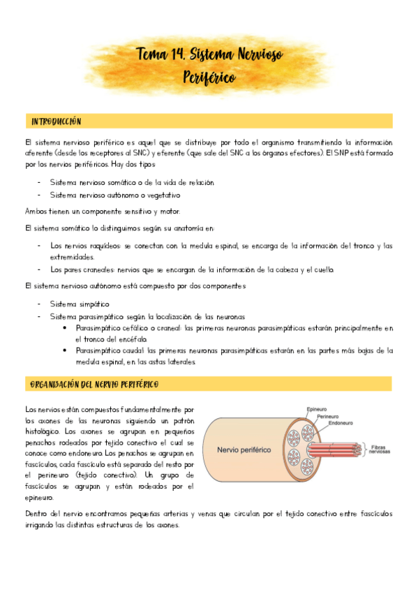 Miniatura del documento Tema-14.pdf
