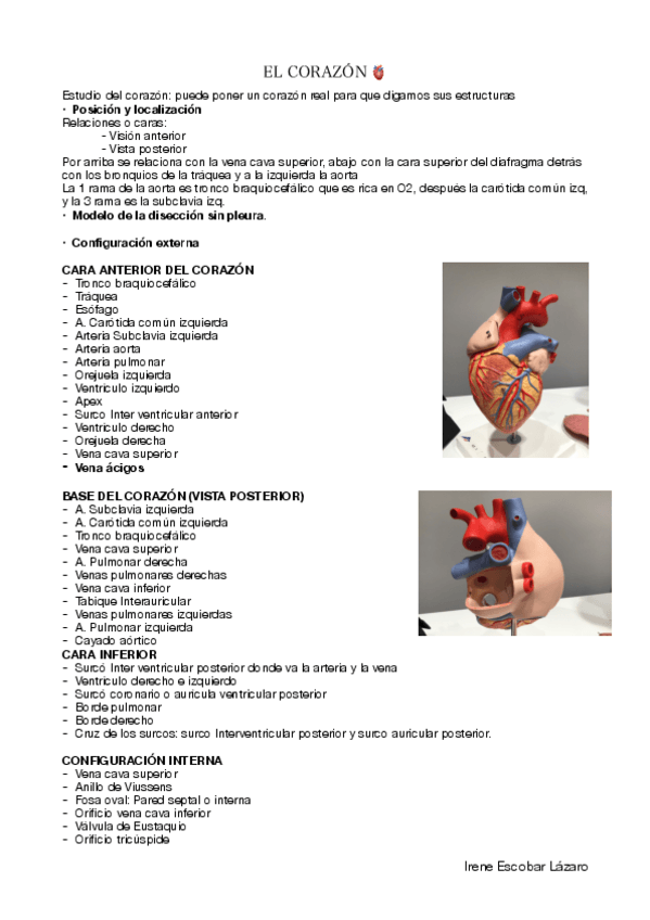 Miniatura del documento P5-corazon-.pdf