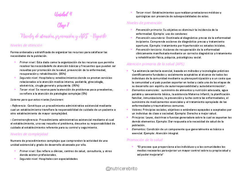 Miniatura del documento ISP-7-Nivelesde-atencion-salud-y-EpS-Nutricerebrito.pdf