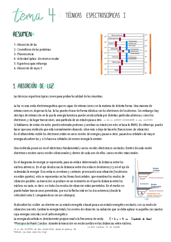 Miniatura del documento Estructura-De-Macromolec-T4.pdf