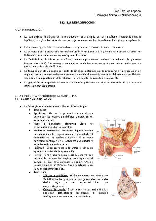 Miniatura del documento T12-FA-La-Reproduccion.pdf