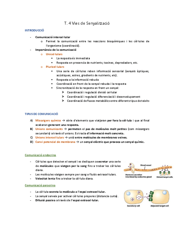 Miniatura del documento T.pdf