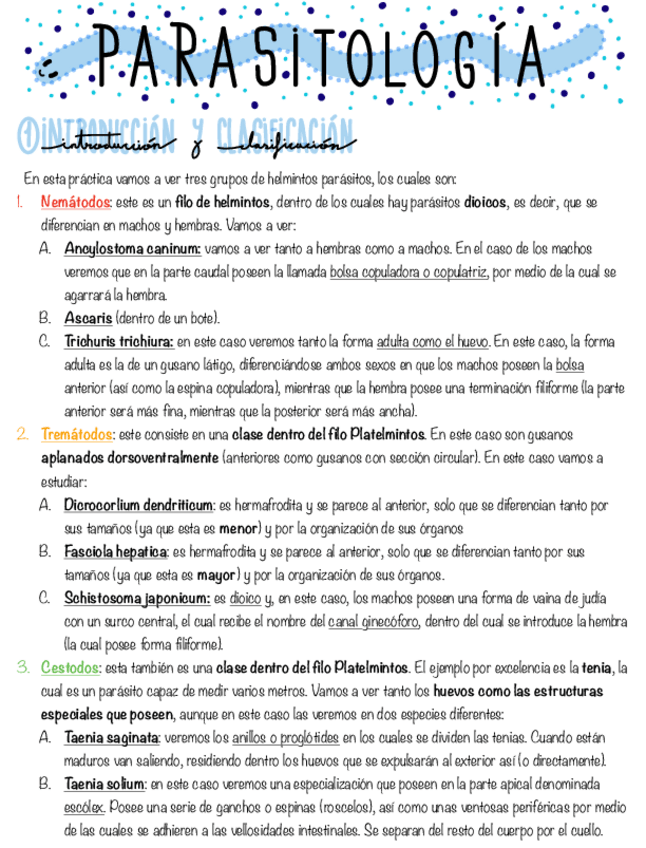 Miniatura del documento Practica-2-Huevos-de-helmintos-y-propios-helmintos-primera-parte.pdf