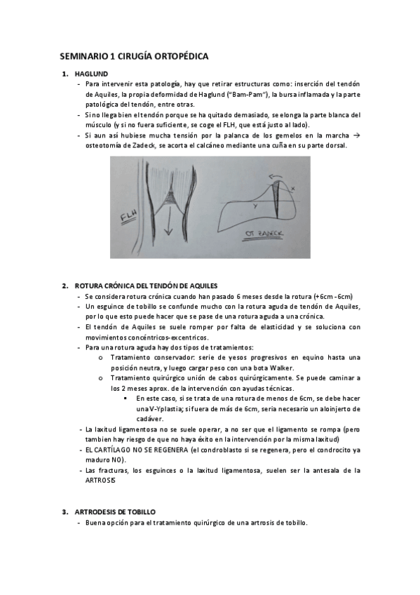 Miniatura del documento SEMINARIOS-prof.pdf