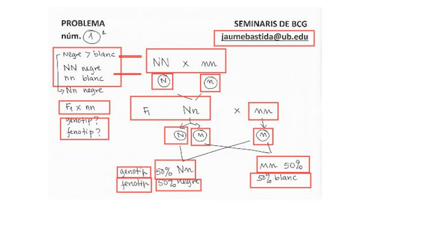 Miniatura del documento seminari-bio.pdf