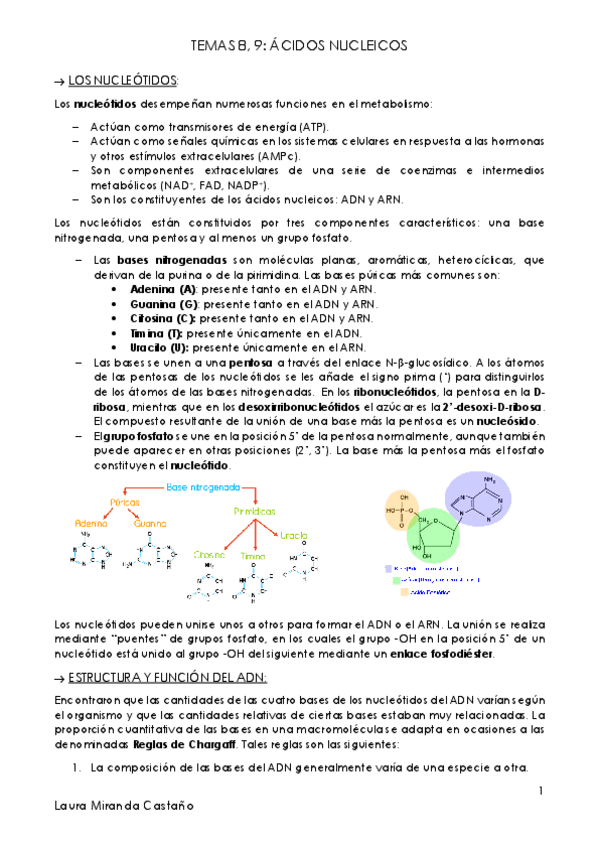 Miniatura del documento Temas 8 9. Ácidos nucléicos.pdf