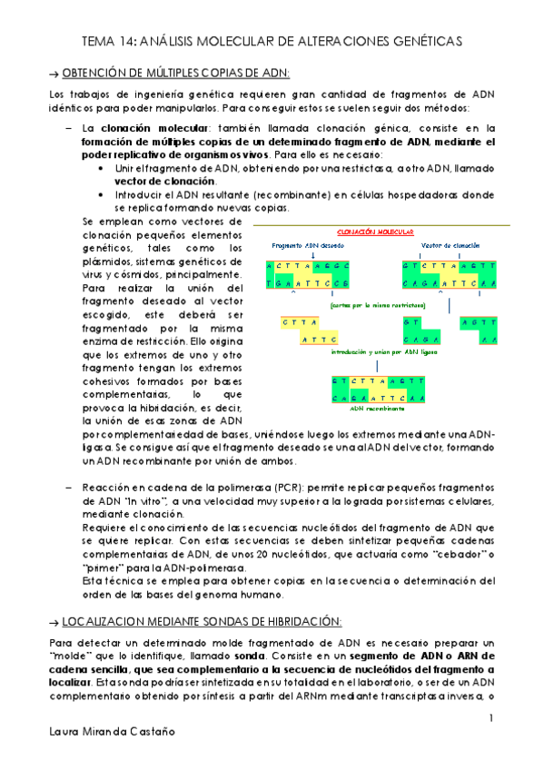 Miniatura del documento Tema 14. Análisis molecular de alteraciones genéticas.pdf