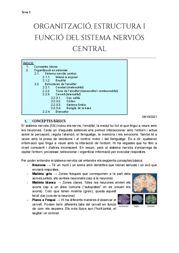 Miniatura del documento Tema-5-Funcio-del-sistema-nervios-central.pdf
