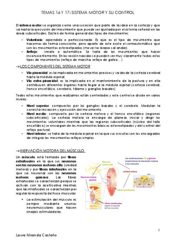 Miniatura del documento Tema 16 y 17. Sistema Motor y su control.pdf