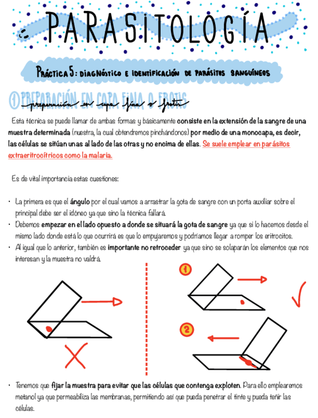 Miniatura del documento Practica-5-Sangre.pdf