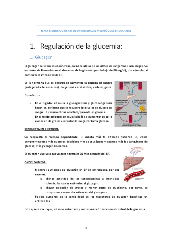 Miniatura del documento TEMA-5-DIABETES.pdf