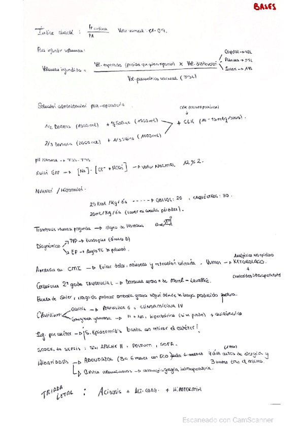 Miniatura del documento Lo-mas-importante.pdf