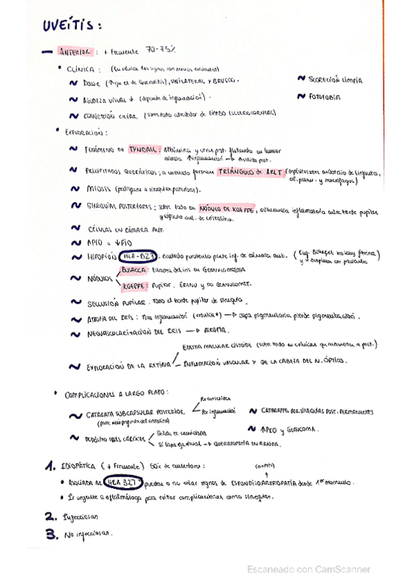Miniatura del documento Buen-resumen-de-UVEITIS.pdf