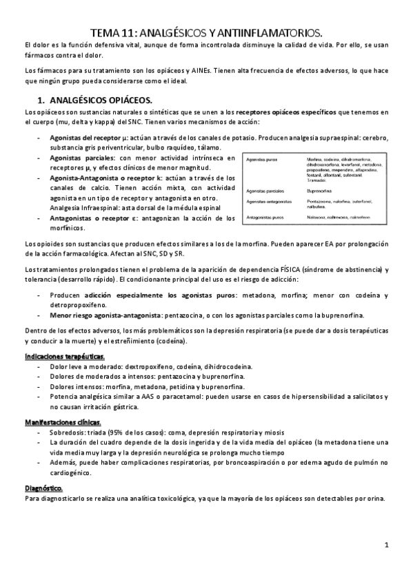 Miniatura del documento TEMA-11.pdf