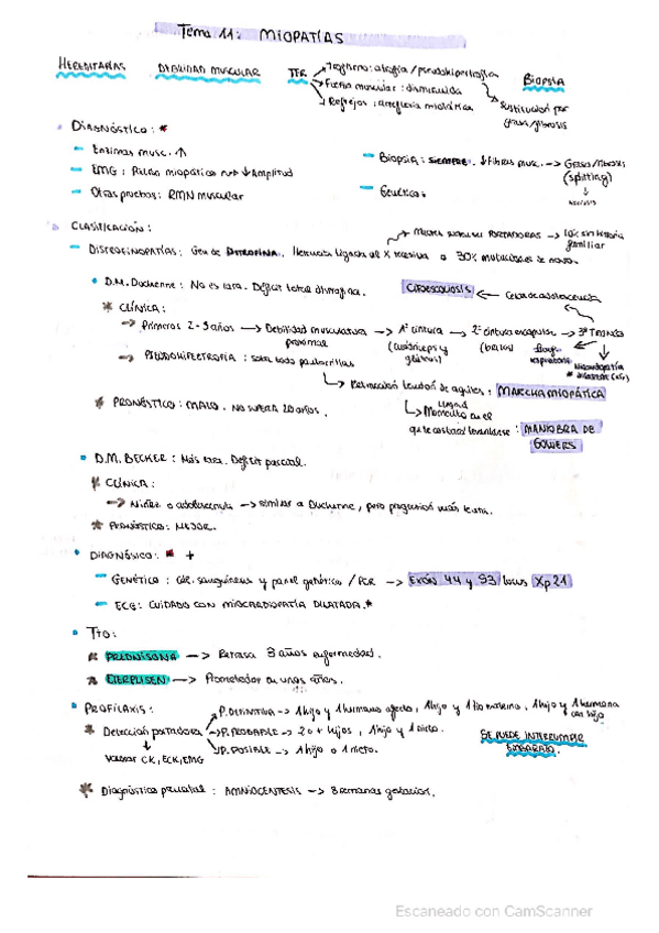 Miniatura del documento RESUMEN-DE-MIOPATIAS.pdf