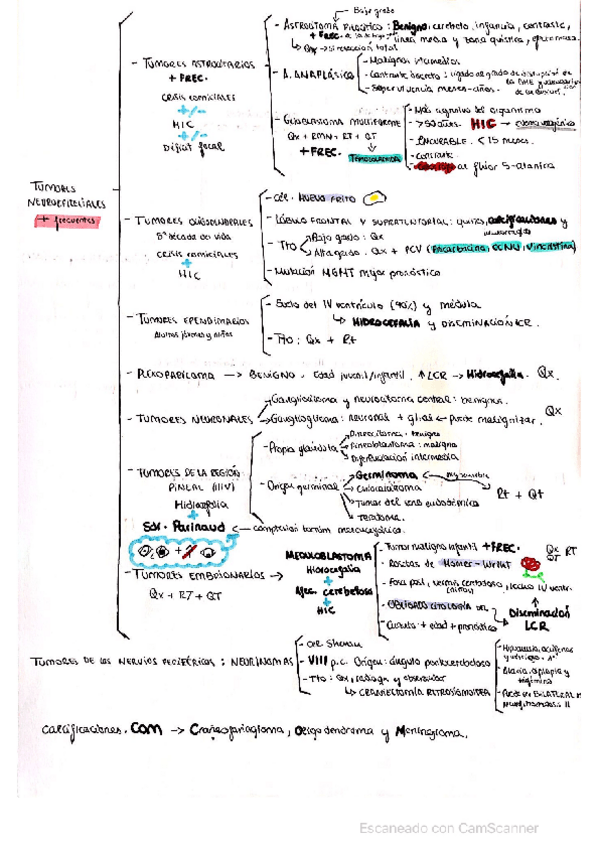Miniatura del documento TODOS-LOS-TUMORES-SNC.pdf