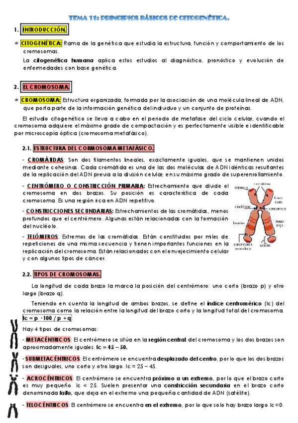 Miniatura del documento TEMA-11-biologia.pdf