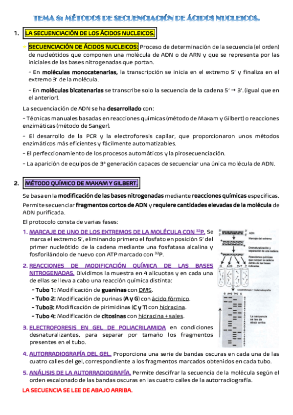 Miniatura del documento TEMA-8-DE-BIOLOGIA.pdf