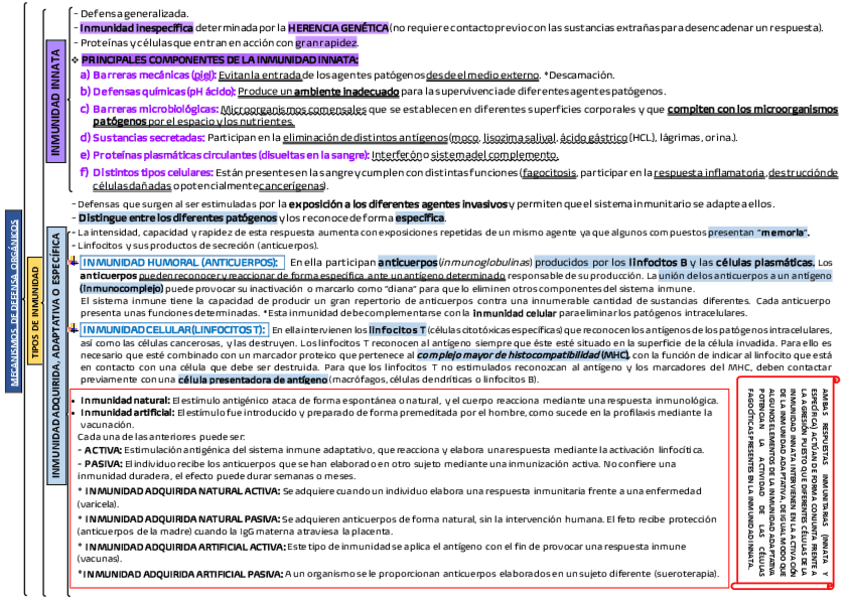 Miniatura del documento Esquema-tema-3.pdf