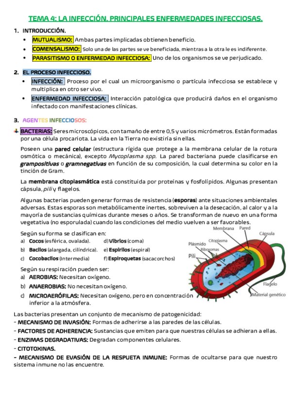 Miniatura del documento TEMA-4.pdf