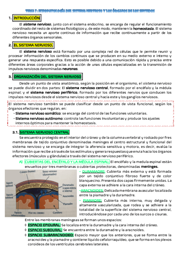Miniatura del documento TEMA-7-fisio.pdf