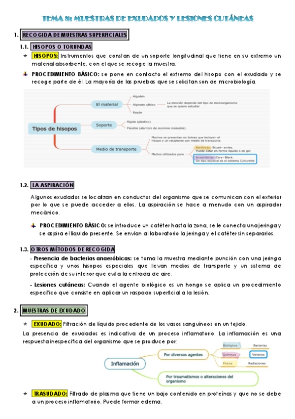 Miniatura del documento TEMA-8-GMB-MARTA-BAREA-RUIZ.pdf